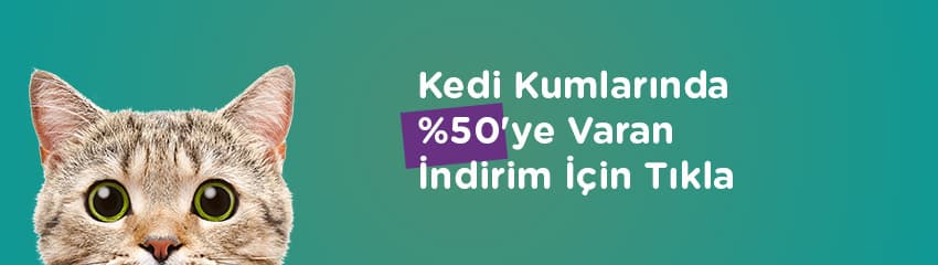 Kedilerde Pire Alerjisi ve Deri Lezyonları